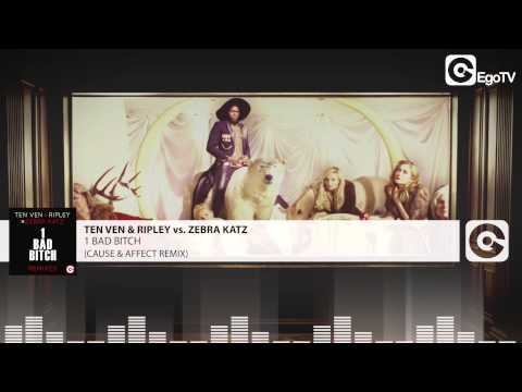 1 BB vs. Zebra Katz - Bad Bitch Remix