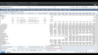 NetSuite   Revenue Management