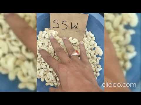 Cashew Nuts SSW