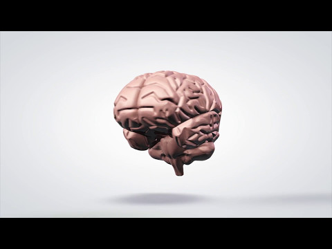 Reverse Engineering the Brain