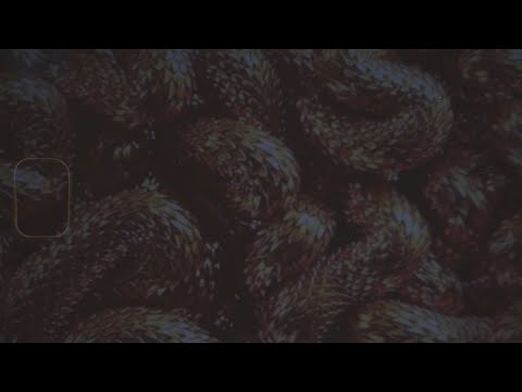 Hione & Dj KayFear | Serpientes