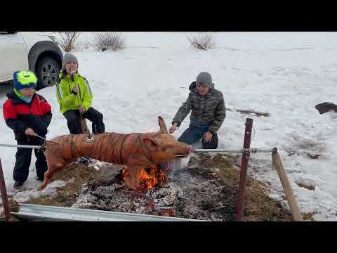 Maiale allo Spiedo / Pig on the Spit