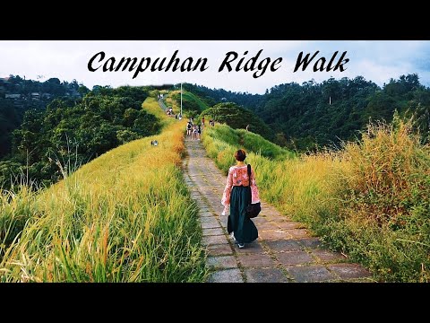 Campuhan Ridge Walk | Bali Attractions