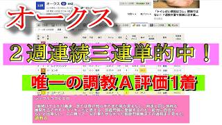 【競馬振り返り】オークス