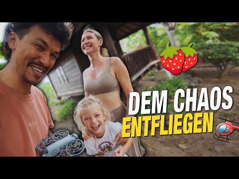 Wir wollten NUR ERDBEEREN - und dann BRICHT das CHAOS aus! | VLOG #473