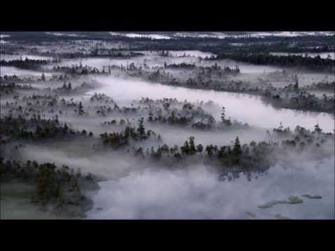 WAR AND PEACE MUSIC VIDEO
