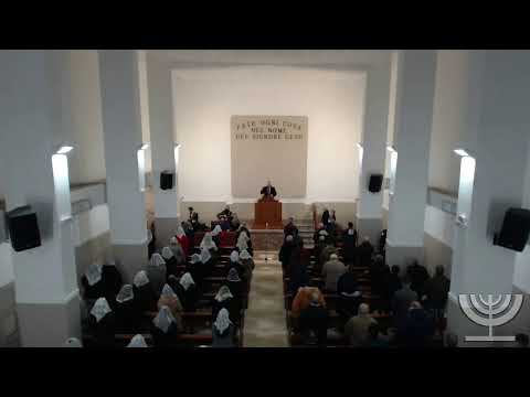 2021-01-31 Domenica Mattina - Fr Mondello - Fr Barbagallo - Matteo cap 11 vers 12