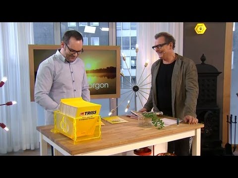 Skrapar Triss - då går brandlarmet! - Nyhetsmorgon (TV4)