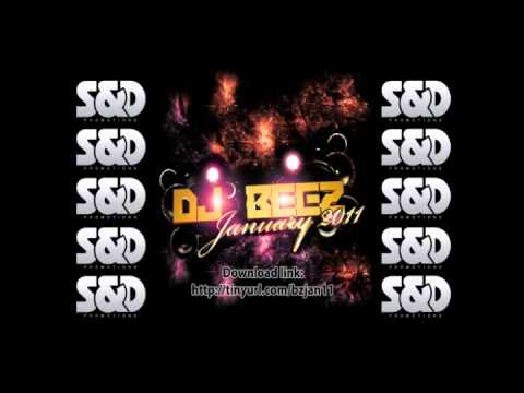DJ Beez - January 2011 - Track 17 - Subzero Ft. Mr M - Dash Down