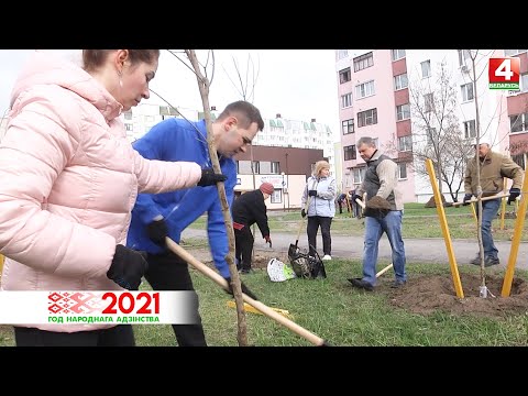Профсоюзы высадили аллею из 60 кленов в Гомеле видео