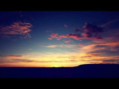 Whales in Cubicles - All The Pretty Flowers [HD] + lyrics