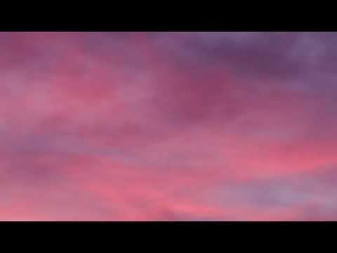 [Free] Playboi Carti x Adrian Type Beat - "Sane"