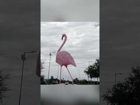 viaje a San Francisco (CBA) y Mar Chiquita Córdoba #cordoba