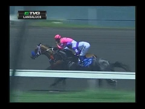 2013 Landaluce Stakes - She's A Tiger