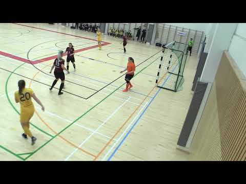Naisten futsal-liiga 2018-2019 / Ylöjärven Ilves vs. FTK maalikooste 19.1.2019