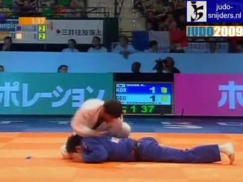 Judo 2009 Rotterdam: Ki-Chun Wang (KOR) - David Kevkhisvili (GEO) [-73kg].