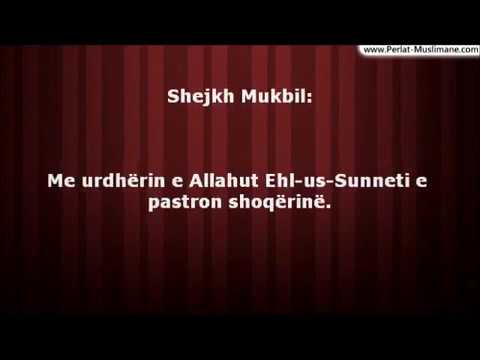 Shejkh Rabi el-Medkhali i kullon Hizbitë - Mukbil