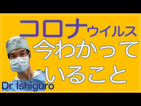 ウェブサイトにはコロナウイルスのフェイスマスクを購入できる場所が表示されています