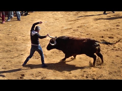 Ciudad Rodrigo Carnaval del Toro 2022