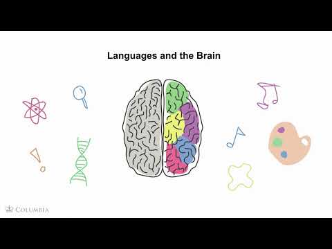 01_Why Do I Need to Know What Plurilingualism is?