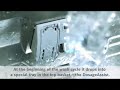 Buy Bosch Full Size Dishwasher Atlantic Electrics
