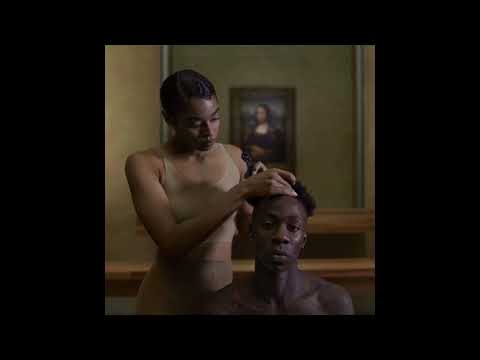 APES**T - THE CARTERS (AUDIO)