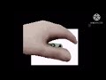 Hand Stroking Dog From Among Us