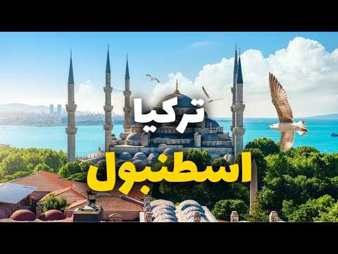 الفيديو