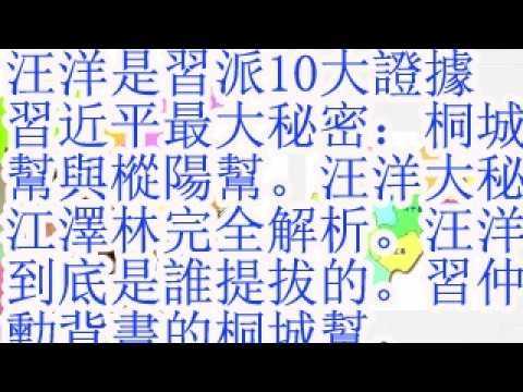 汪洋是习派10大证据。习近平最大秘密：桐城帮与枞阳帮。汪洋大秘江泽林完全解析。汪洋到底是谁提拔的。习仲勋背书的桐城帮。