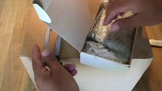 Indivision A604 1MB chip ram - ECS Scandoubler flicker fixer and Commodore Amiga games unboxing