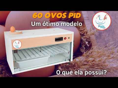 Chocadeira 60 ovos ALTA ECLOSÃO/ conheça nossos produtos