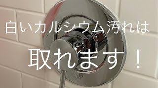 クエン酸とステンレススチールたわし