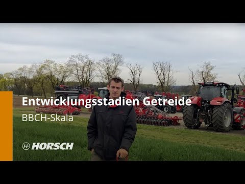 Entwicklungsstadien Getreide BBCH-Skala