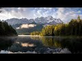 Copyright Free Nature Video Download Copyright Free Nature Video