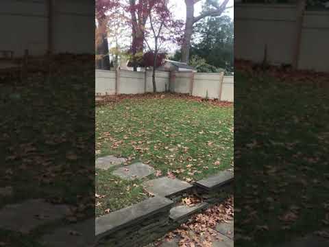 this was taken november 17th 2018