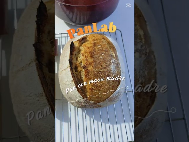 Vídeo relacionado con PUKPU Kit para Hacer Pan Masa Madre de 8 Piezas - Incluye 2 Banetones para Pan, Bote Fermentacion, Raspador de Masa, Batidora Danesa, Cuchilla de Panadero, Cepillo y Medidor de Crecimiento