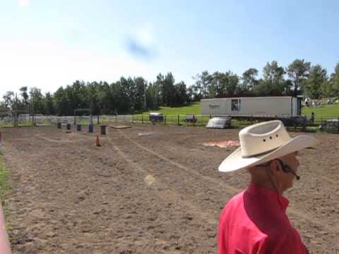 Colt starting competition Daines Ranch 2013