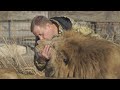 De grootste zoo van Europa is op de Krim: directeur ruziet met Russen, dreigt dieren af te schieten