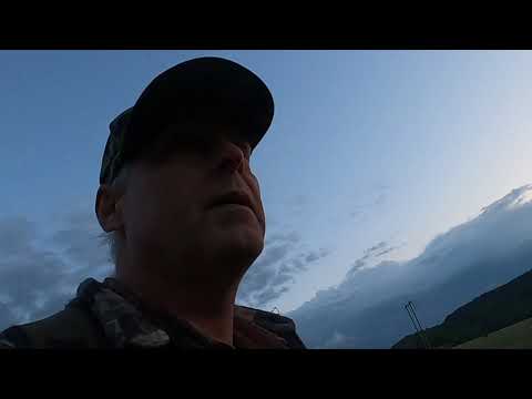 Jakt,Vildsvinsjakt i vete