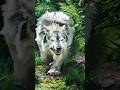 Small To Big Size Animal S Transfer Animal S Viralshort Animals Video Shortsfeed