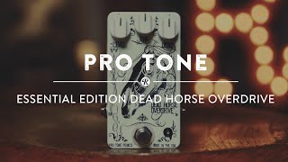 Video thumbnail for Pro Tone Essential Edition Dead Horse Overdrive | Reverb Video Demo by Reverb