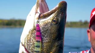 Tsuribito воблер deep diver minnow 60sp 001