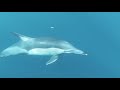 Joe Dispenza 8 Min Intense Breathing To Break Away From Negative Thoughts