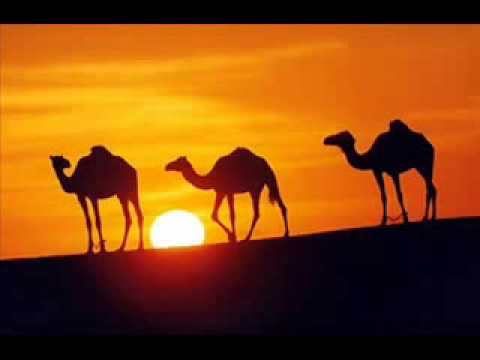 SOLTAN HAJIBƏYLİ. "KARVAN"  ("CARAVAN")