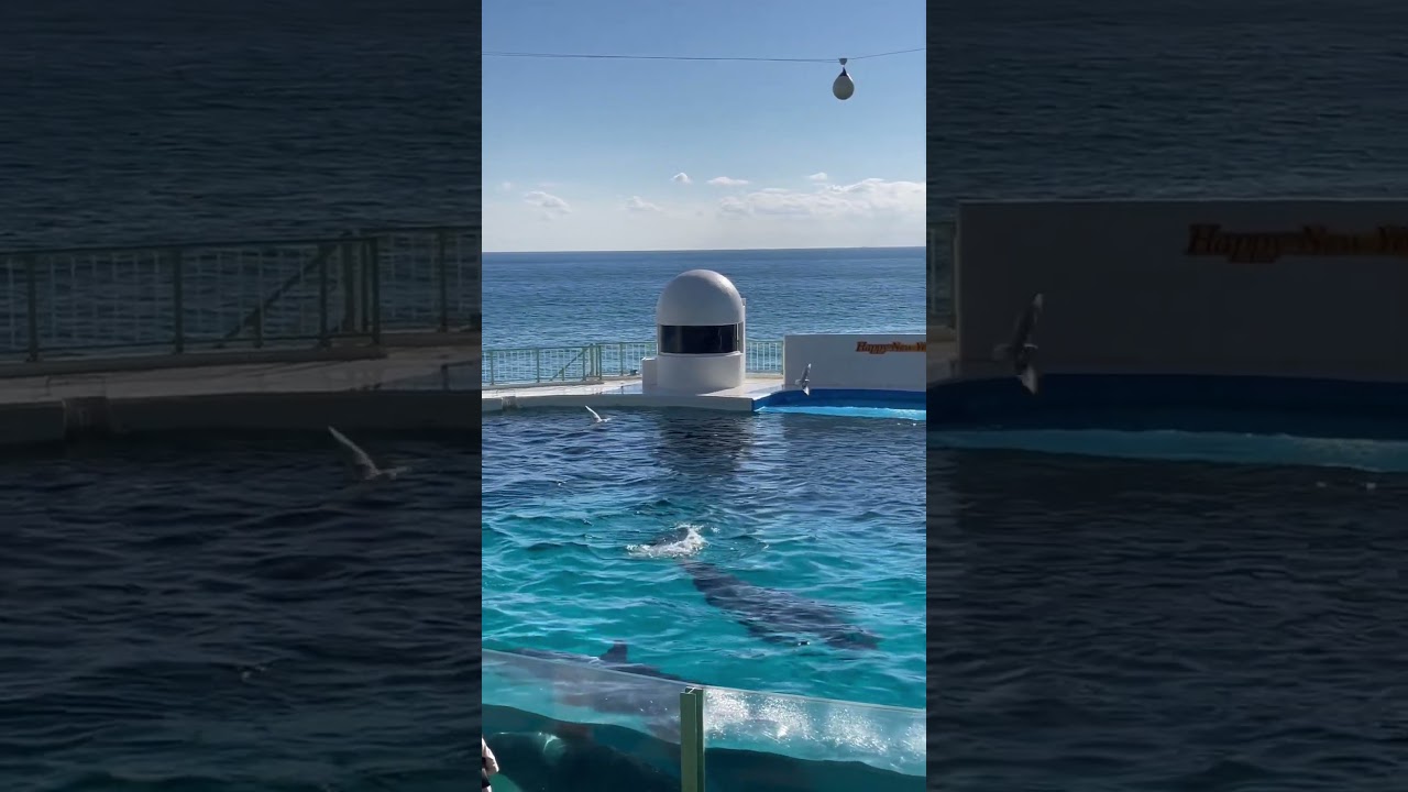 まったり休憩中