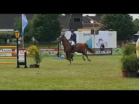 Calmando Tasdorf 2016 Großer Preis Umlauf - Dirk Ahlmann