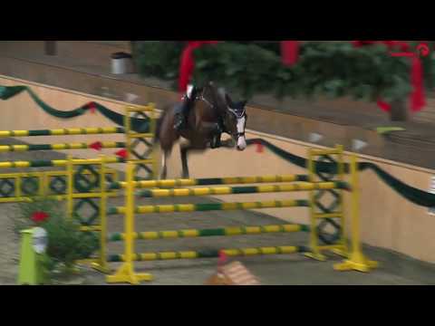 Leck 2018 - Springpferdeprfg. Kl. M - Million Dollar und Ebba Johansson