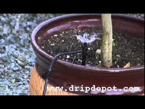 image-What is a valve in a drip irrigation system?