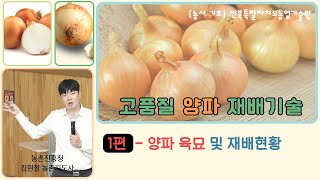 ✨[고품질 양파 재배기술]_1편 양파 육묘 및 재배현황  / 교육 목표: 양파 생산량은 늘리고 비용은 줄이고…
