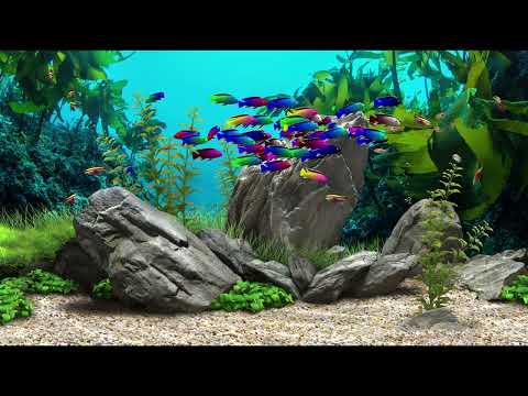 2 hours Dream Aquarium Relaxing
